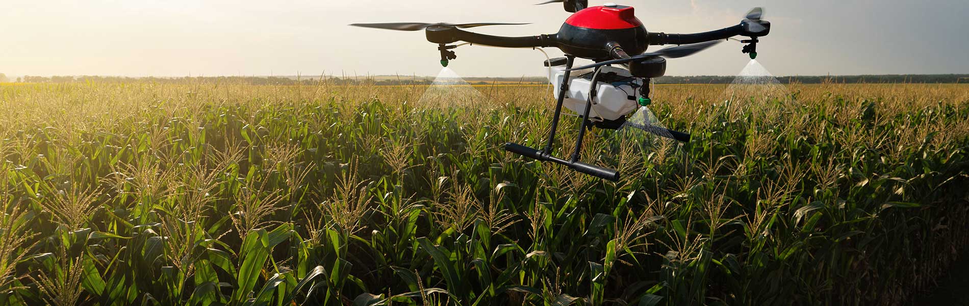Drone+pilote