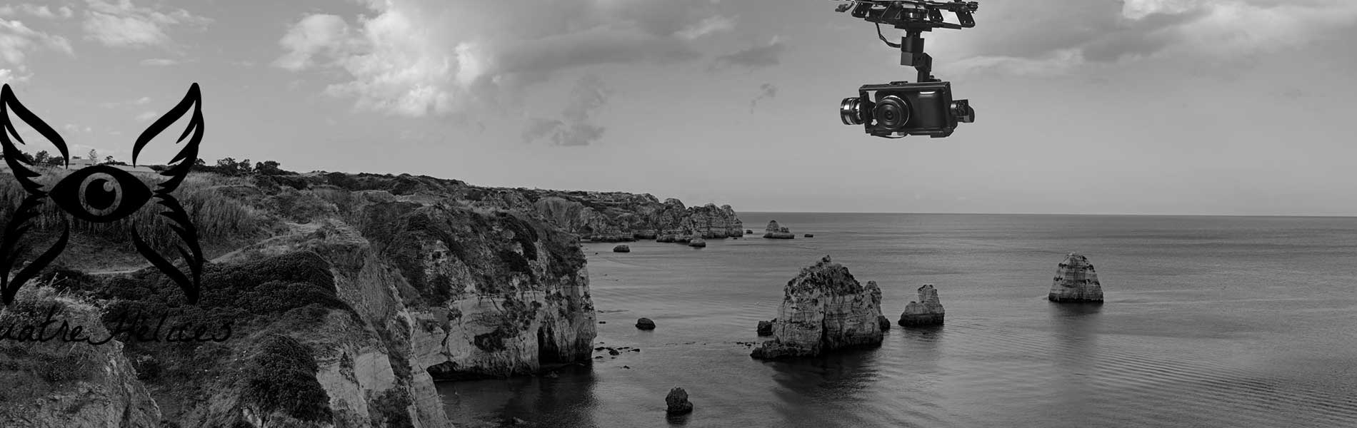 Drone+pilote
