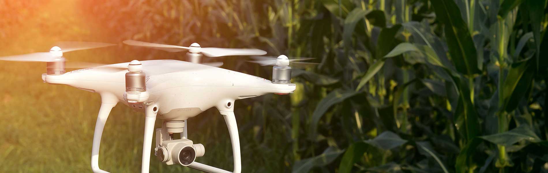 Prestation drone video