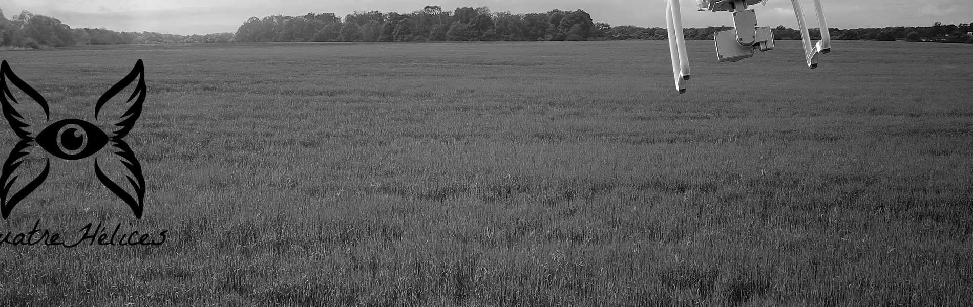 Inspection toiture drone