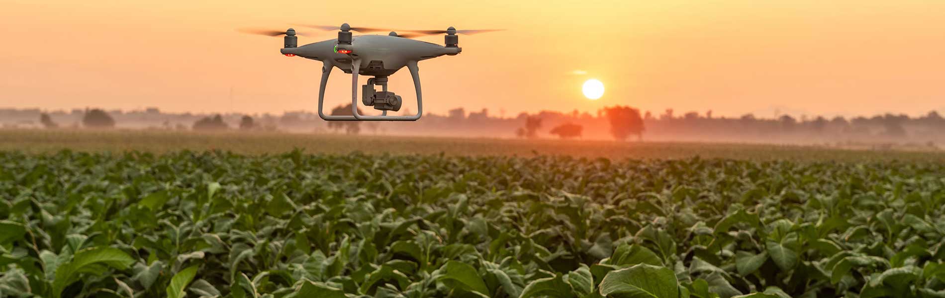 Tarif moyen prestation drone Auriol (13390)