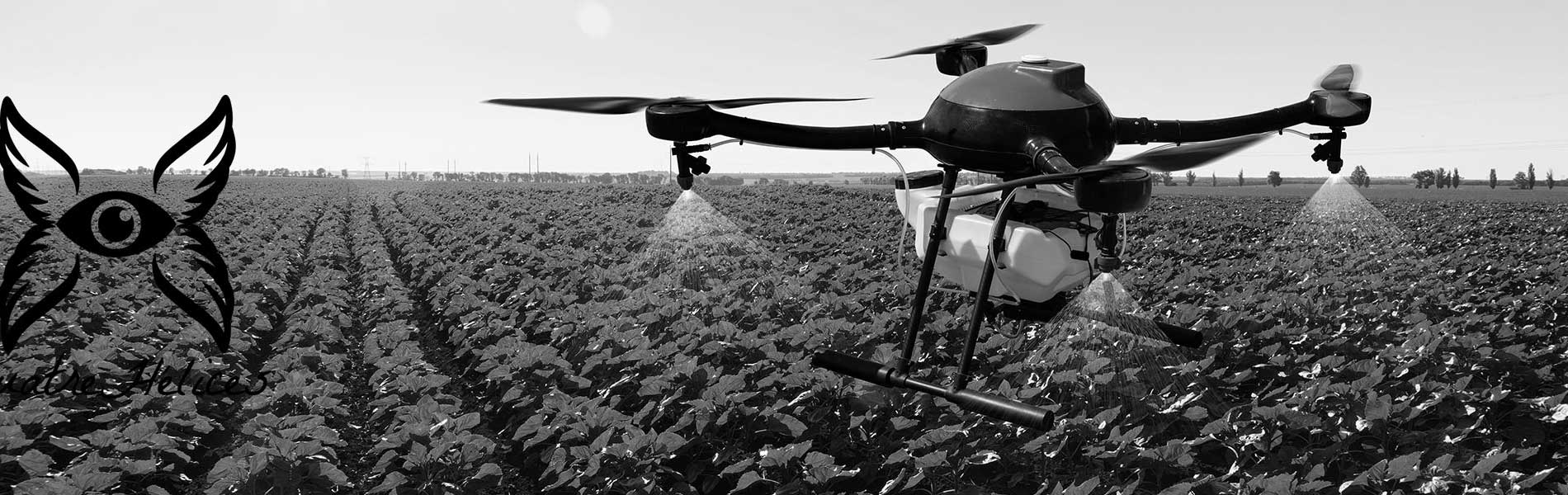 Inspection par drone