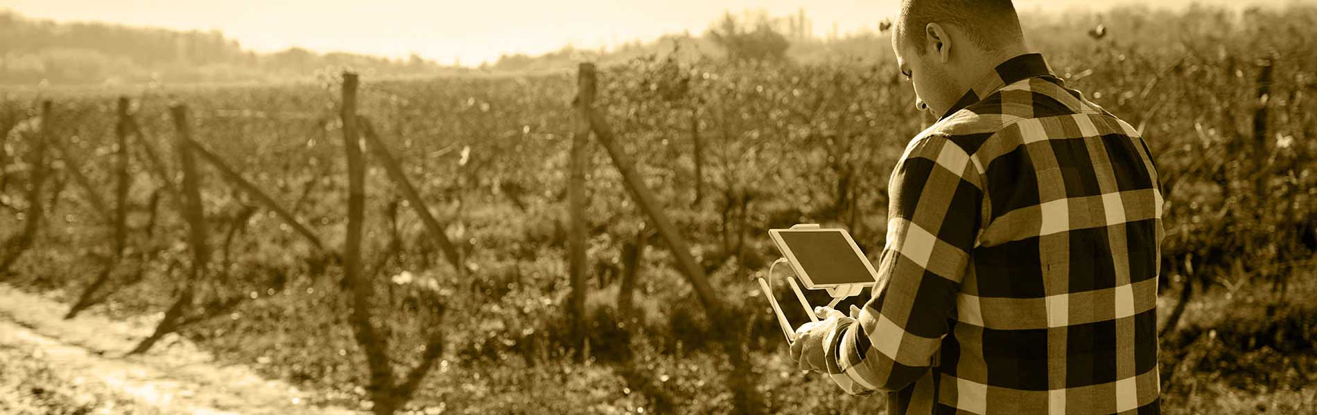 Réalisation vidéo drone