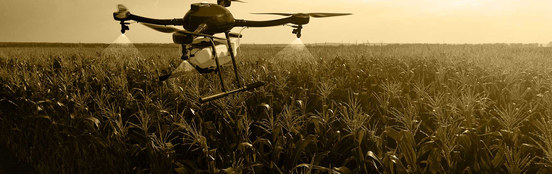 Tarif prestation pilote de drone