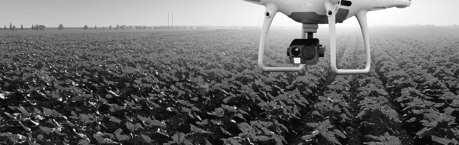 Prestation drone particulier