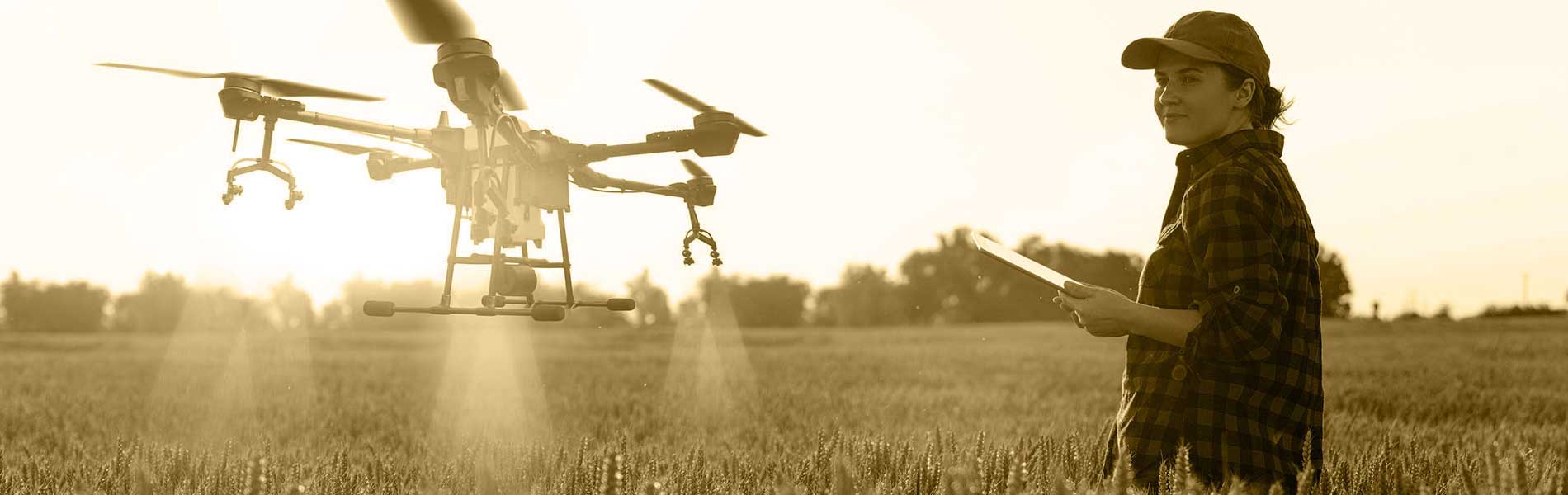 Controle par drone