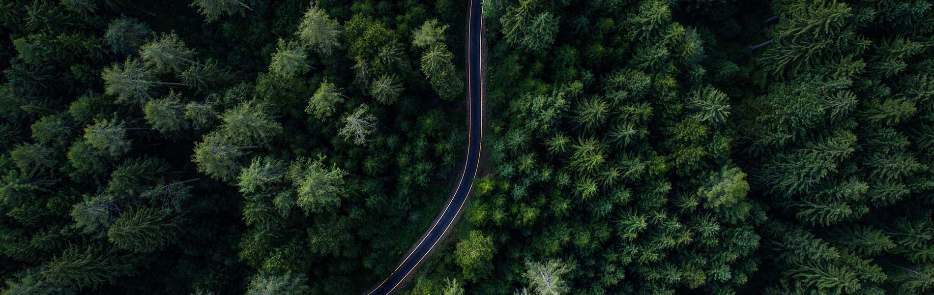 Tarif prestation pilote de drone