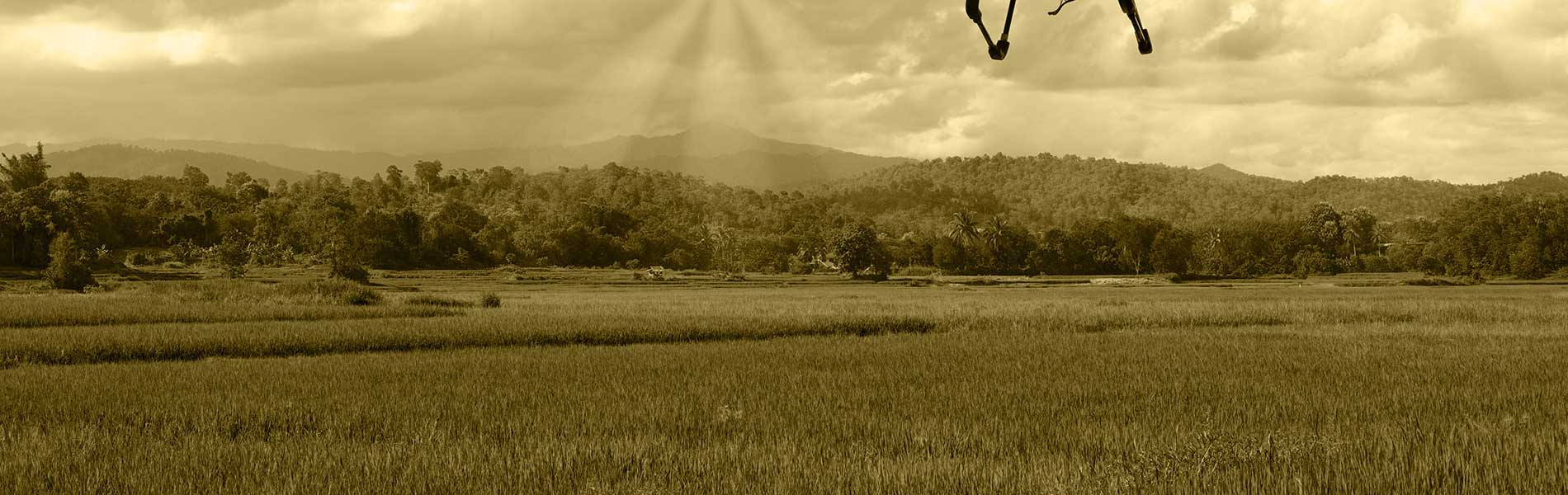 Devis prestation drone