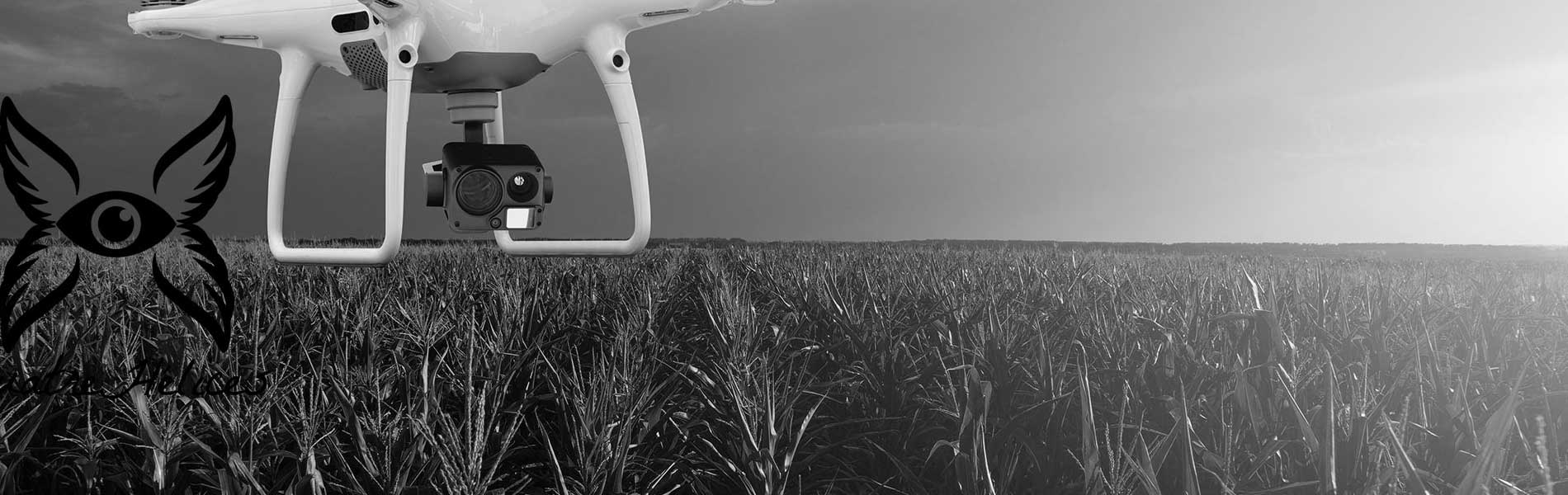 Location drone tarif
