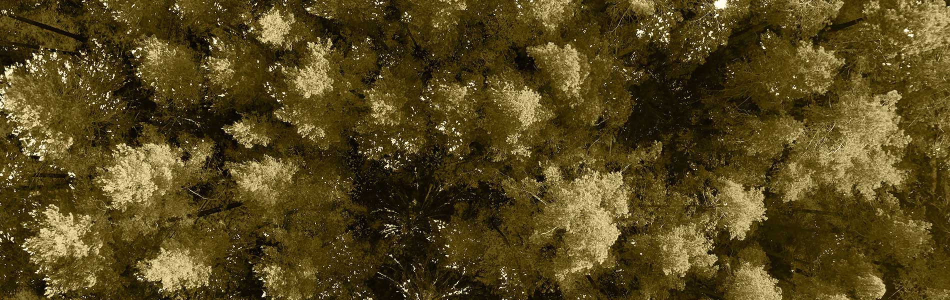 Photogrammétrie drone