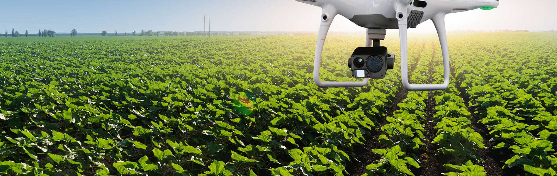 Controle par drone