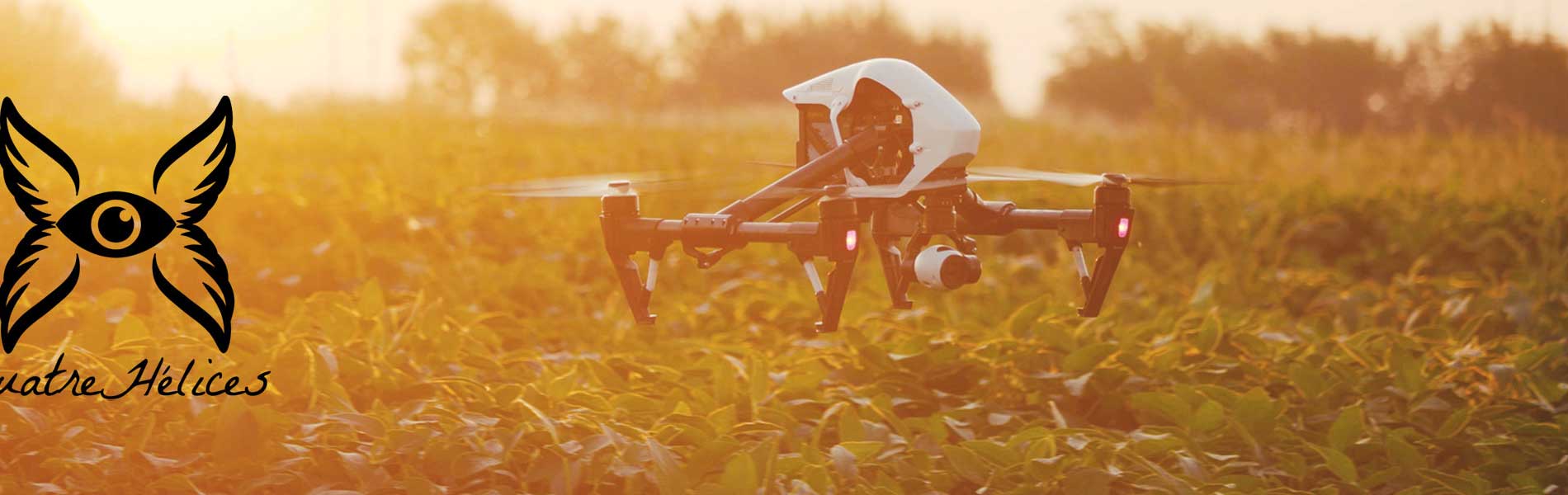 Controle par drone