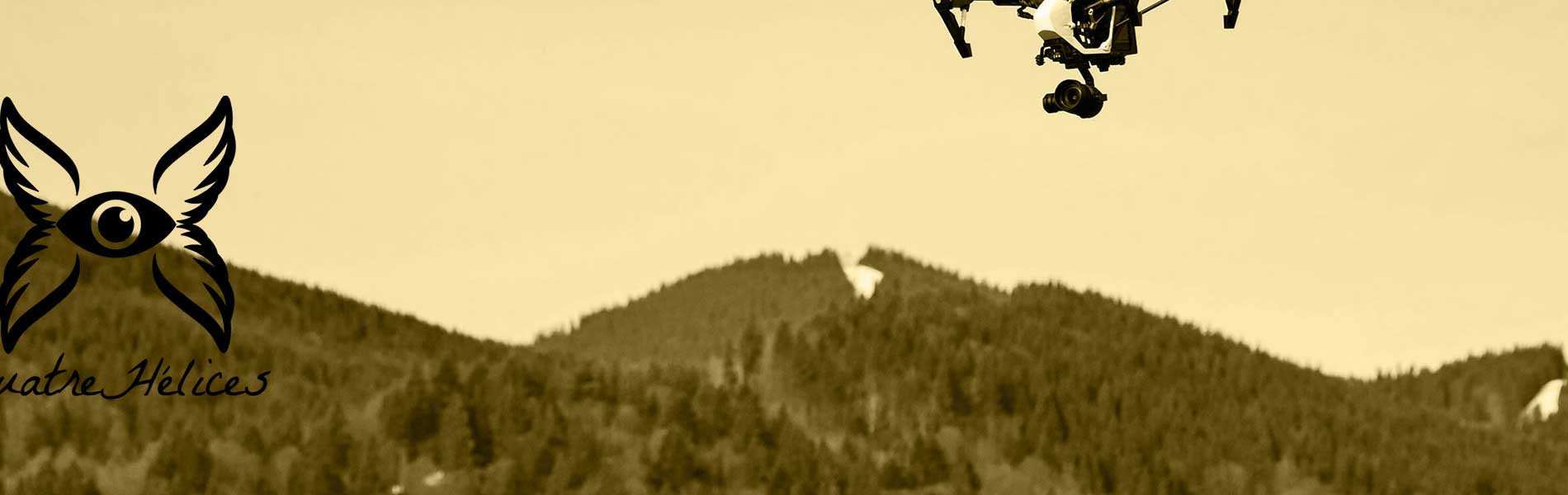 Inspection par drone
