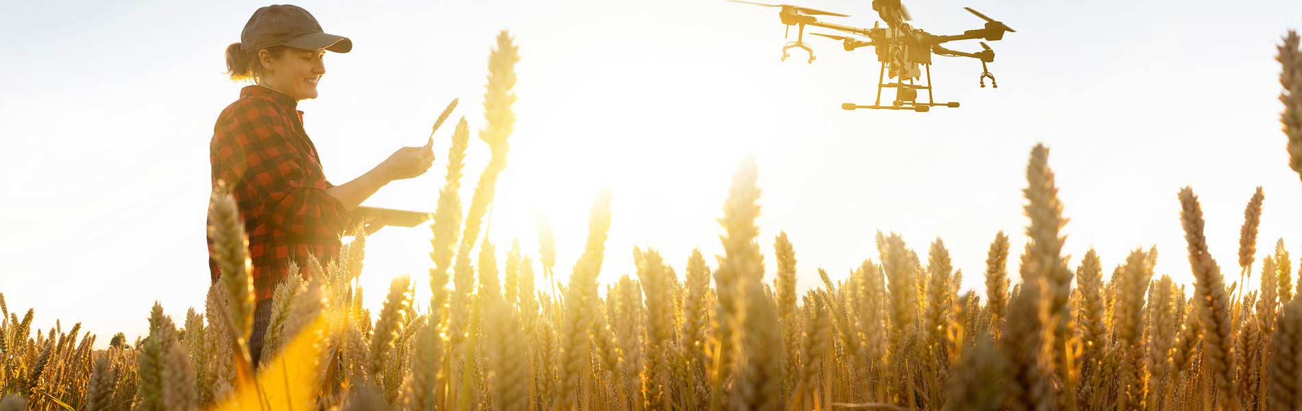 Prestation drone video