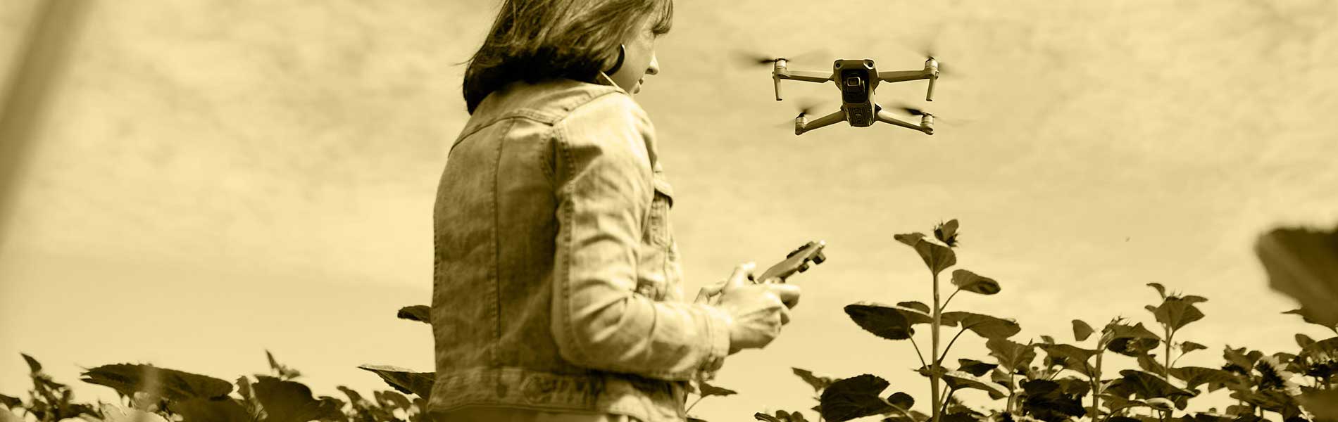 Devis prestation drone