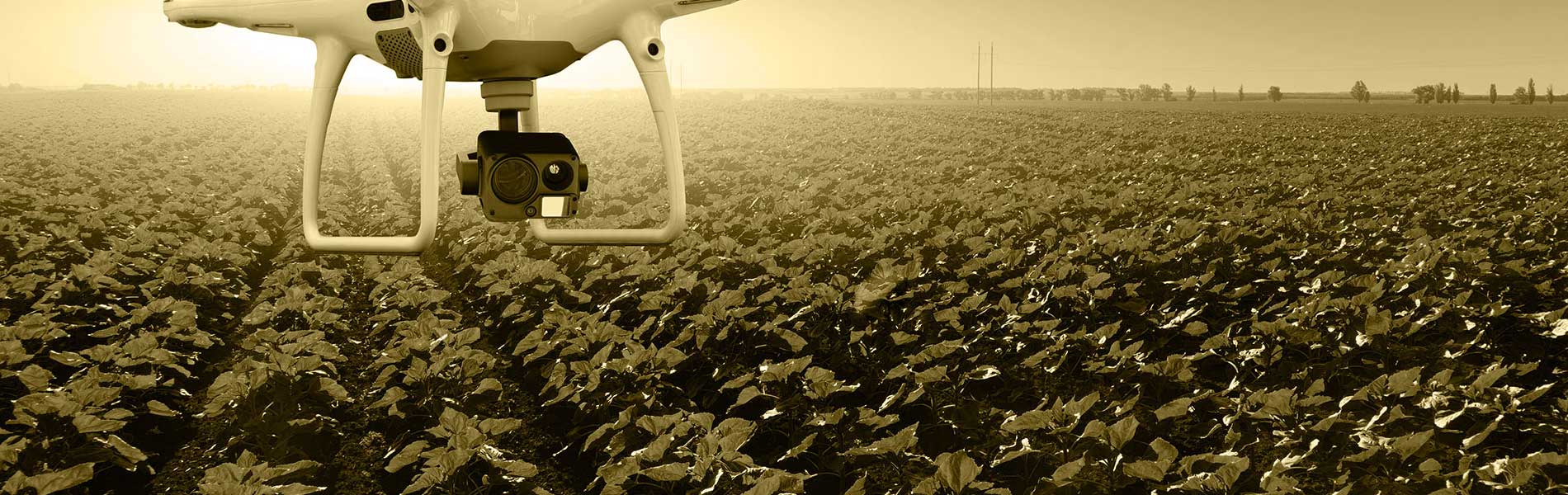Devis prestation drone