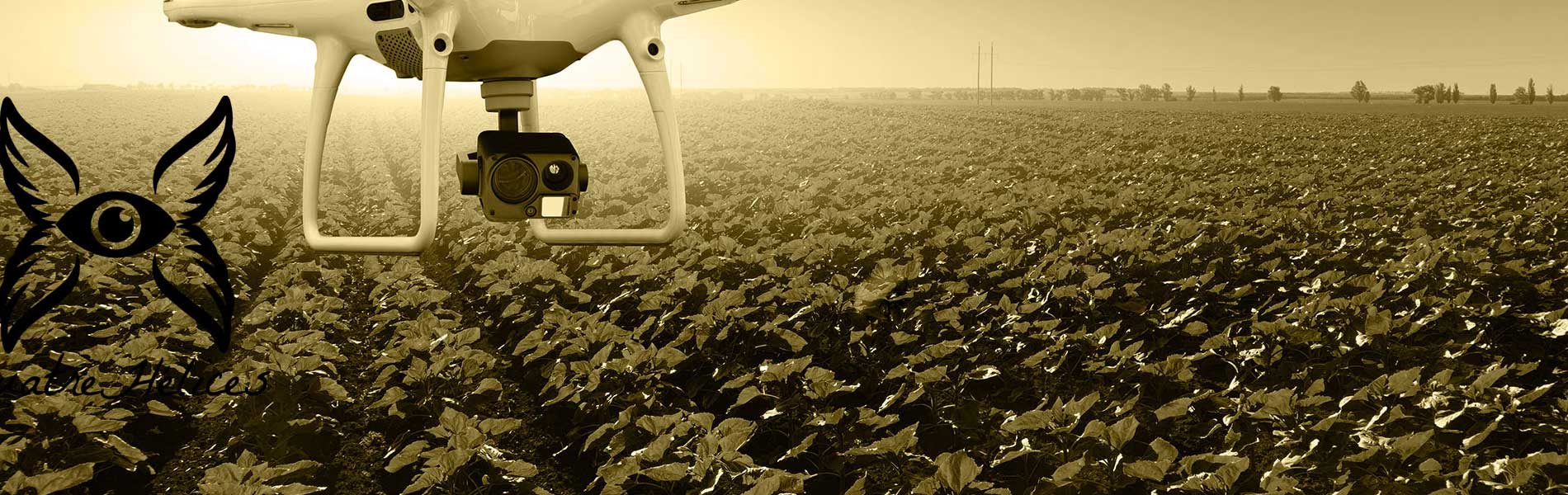 Prix prestation drone