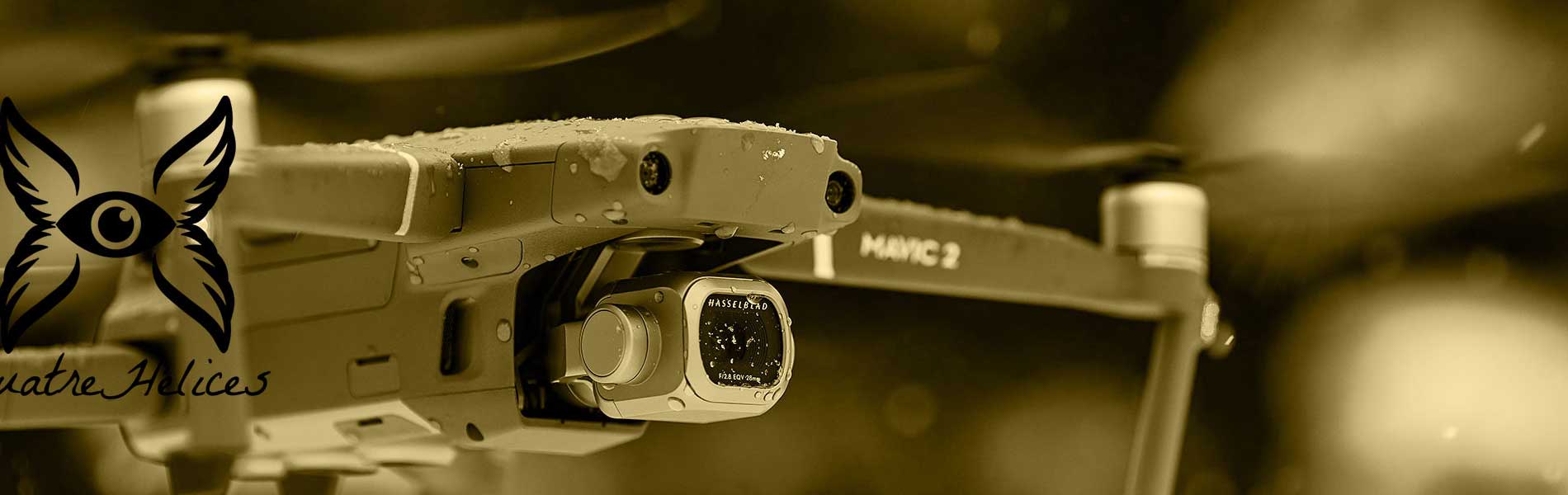 Relevé drone