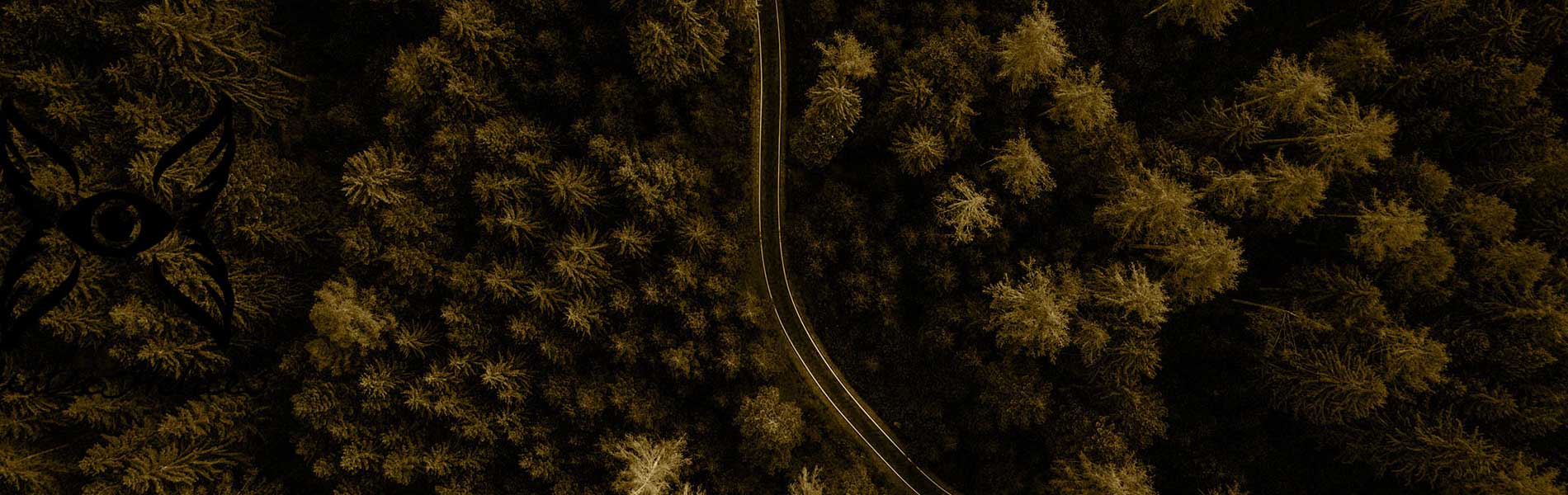 Inspection toiture drone