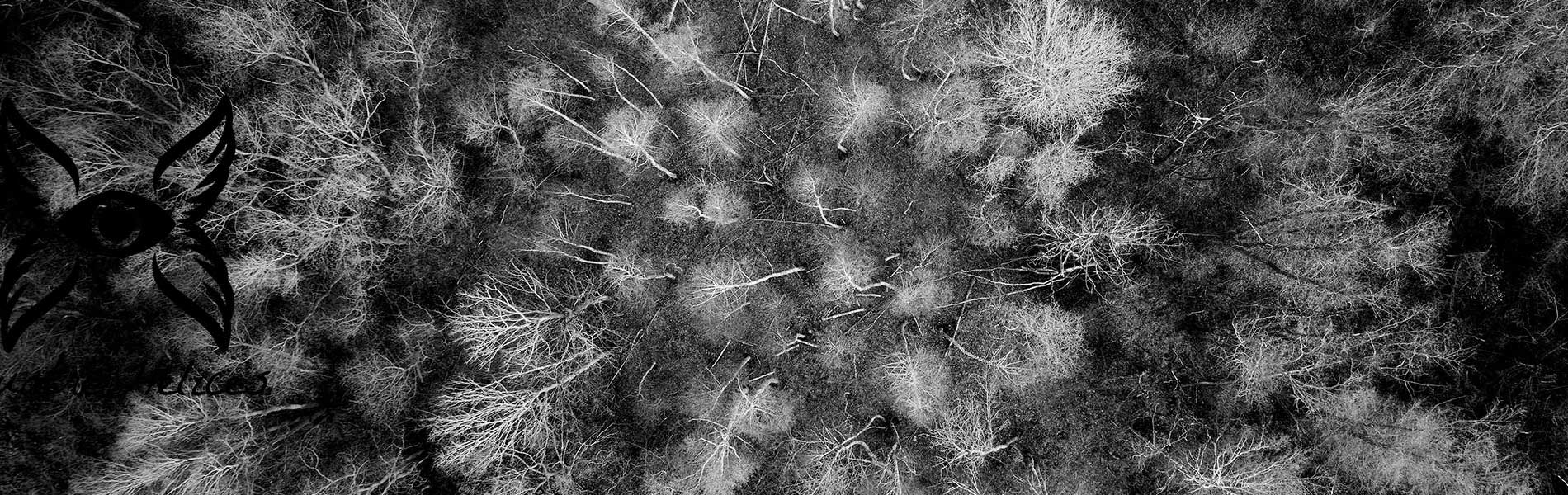 Prise de vue drone