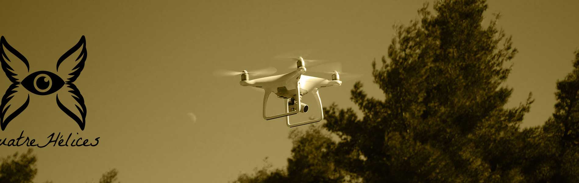 Controle par drone