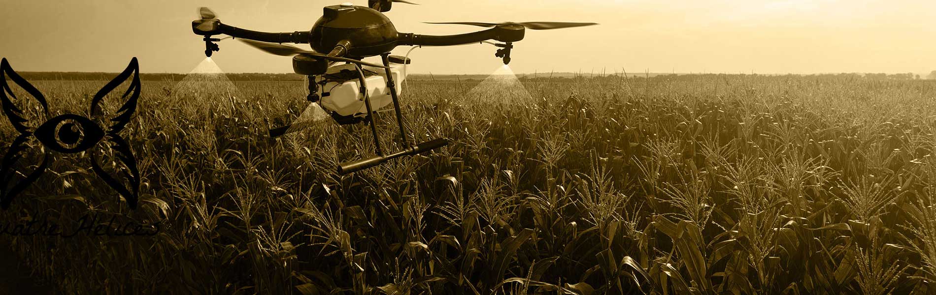 Inspection toiture drone