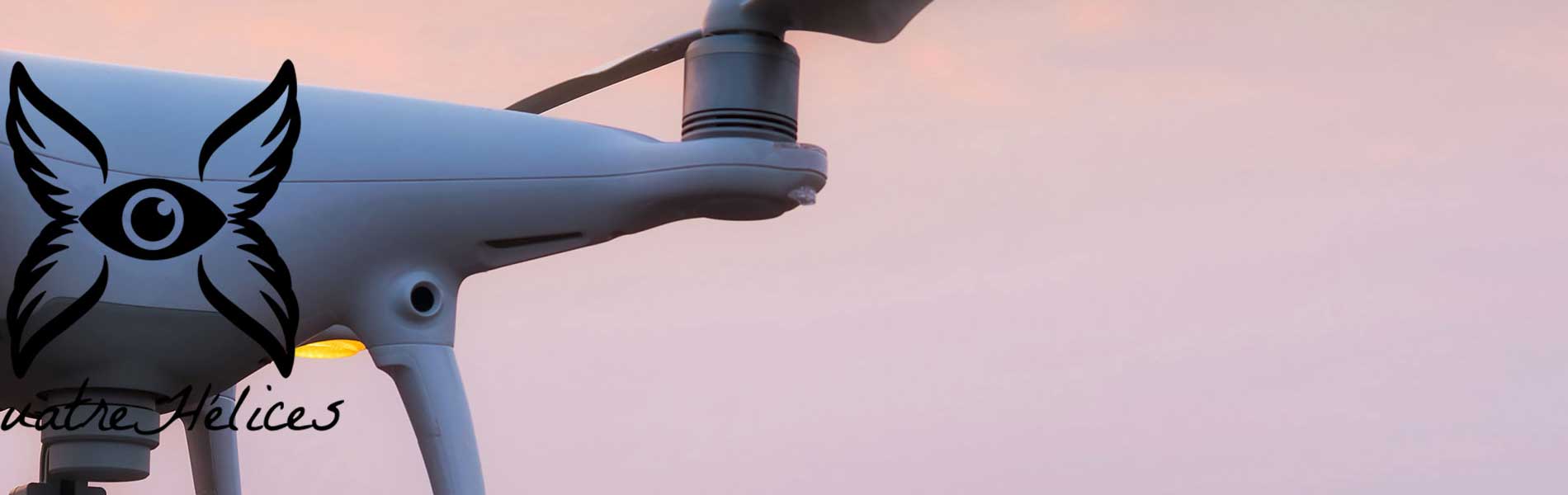 Tarif prestation drone thermique