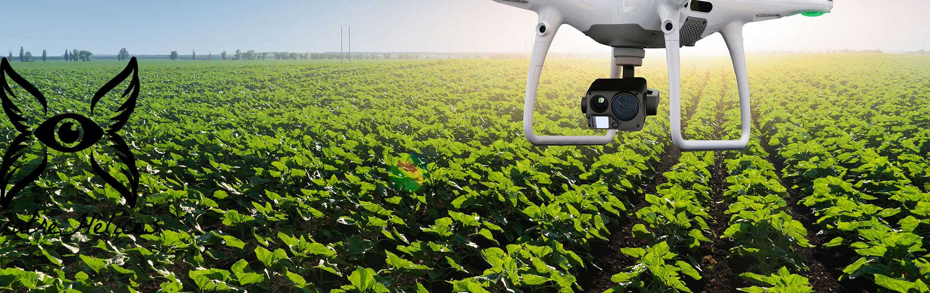 Controle par drone