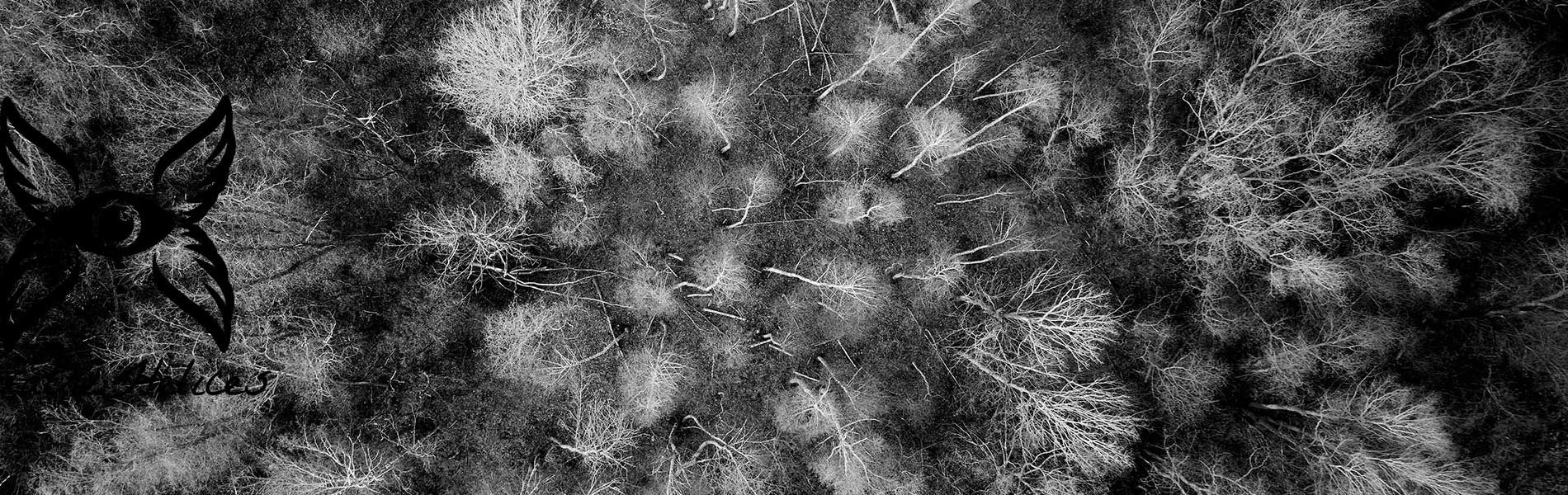 Inspection toiture drone
