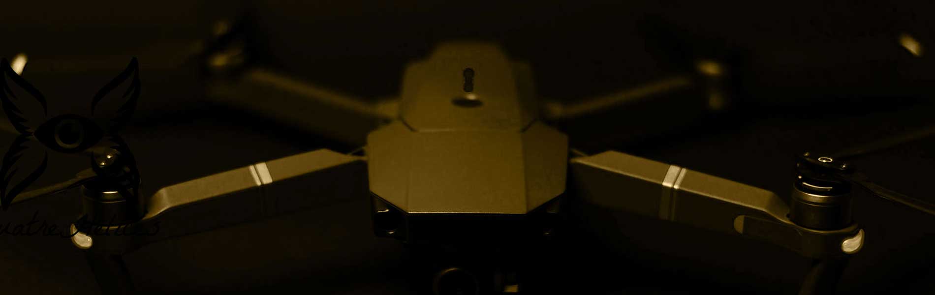 Devis prestation drone
