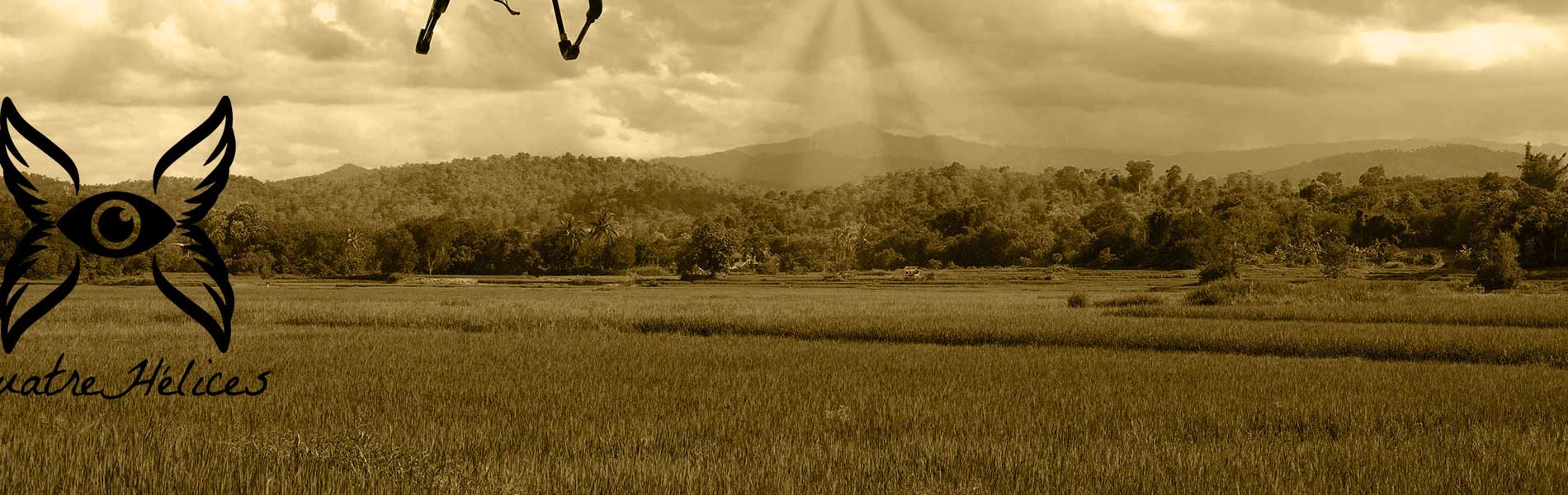 Tarif moyen prestation drone