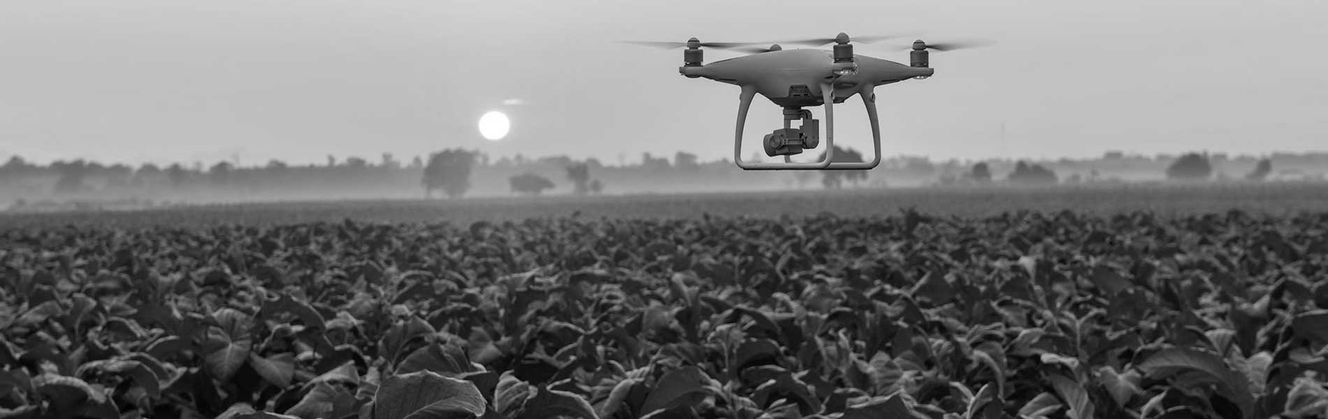 Photos aérienne drone