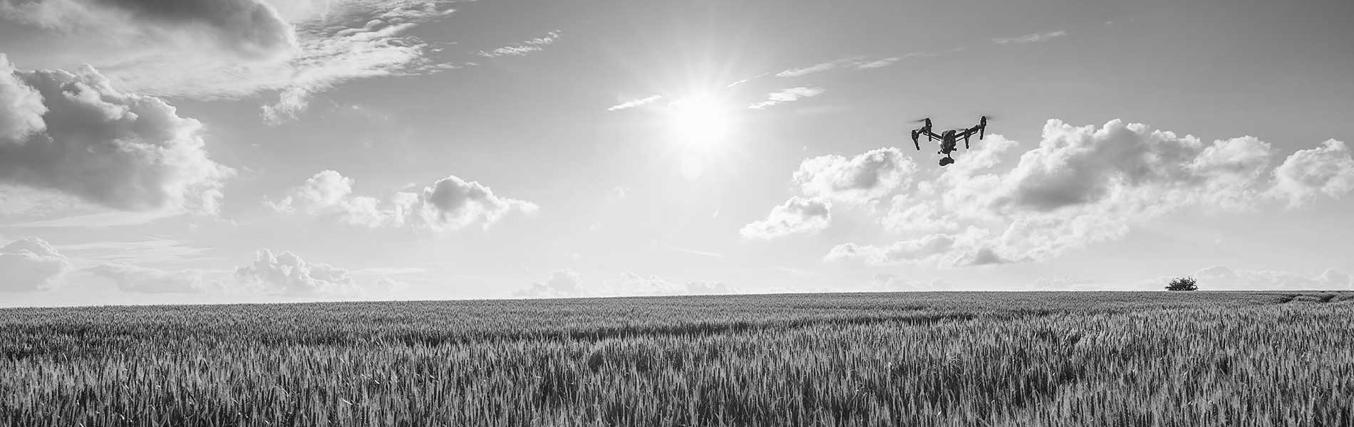 Photo aerienne drone