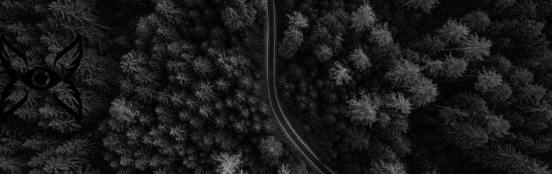 Photo vue du ciel