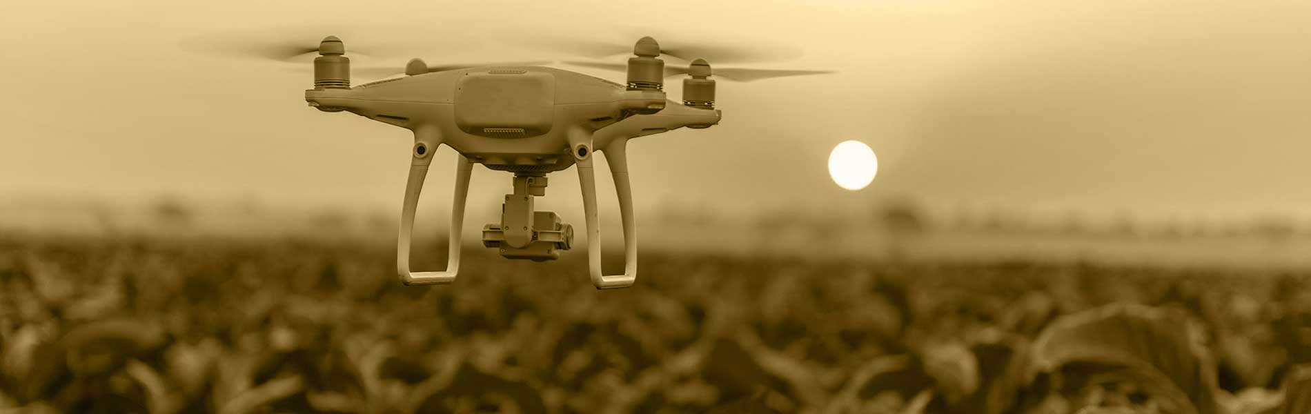 Vue du ciel drone