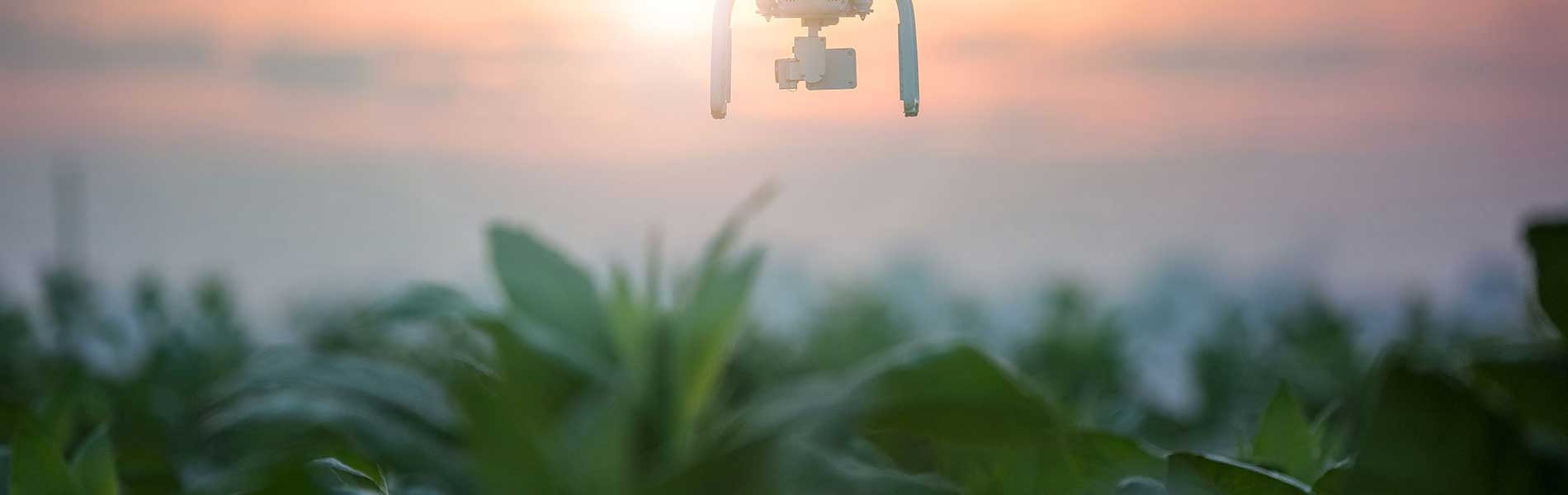 Prise de vue aerienne drone
