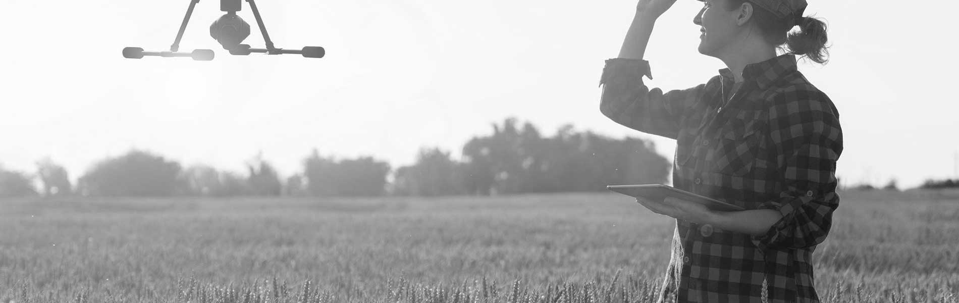 Photographie aerienne