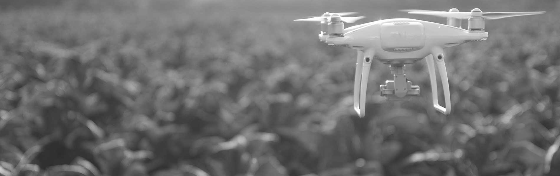 Prise de vue aerienne drone