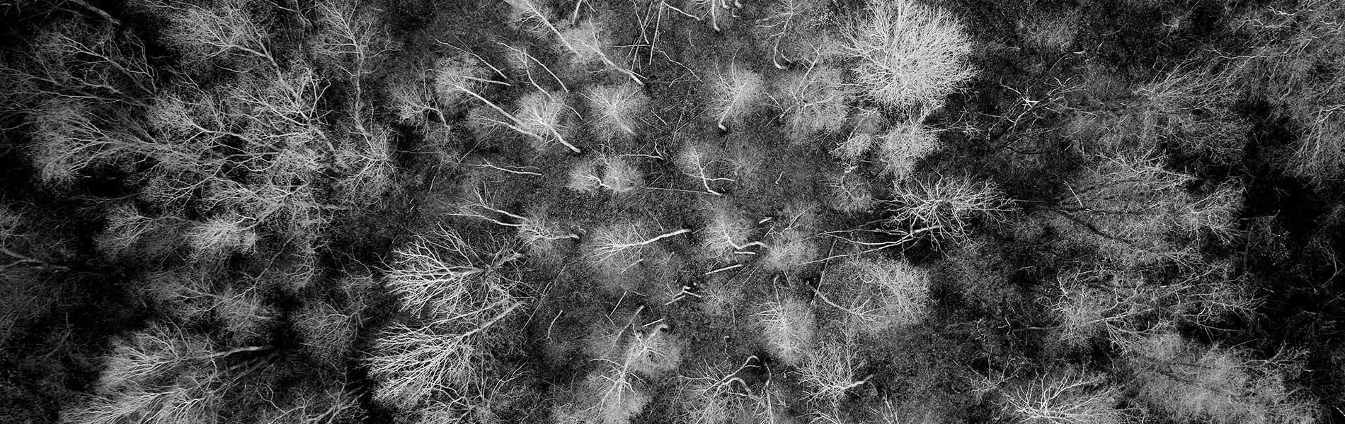 Photo aerienne drone