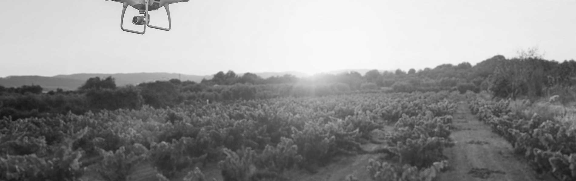 Video aerienne