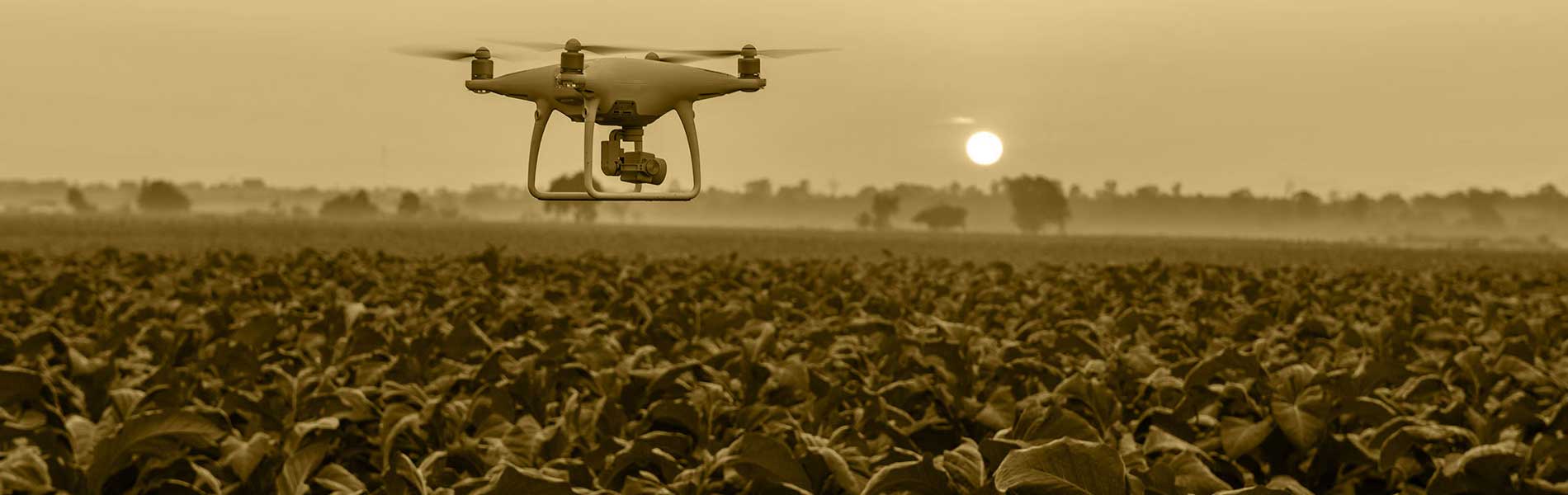Vue du ciel drone