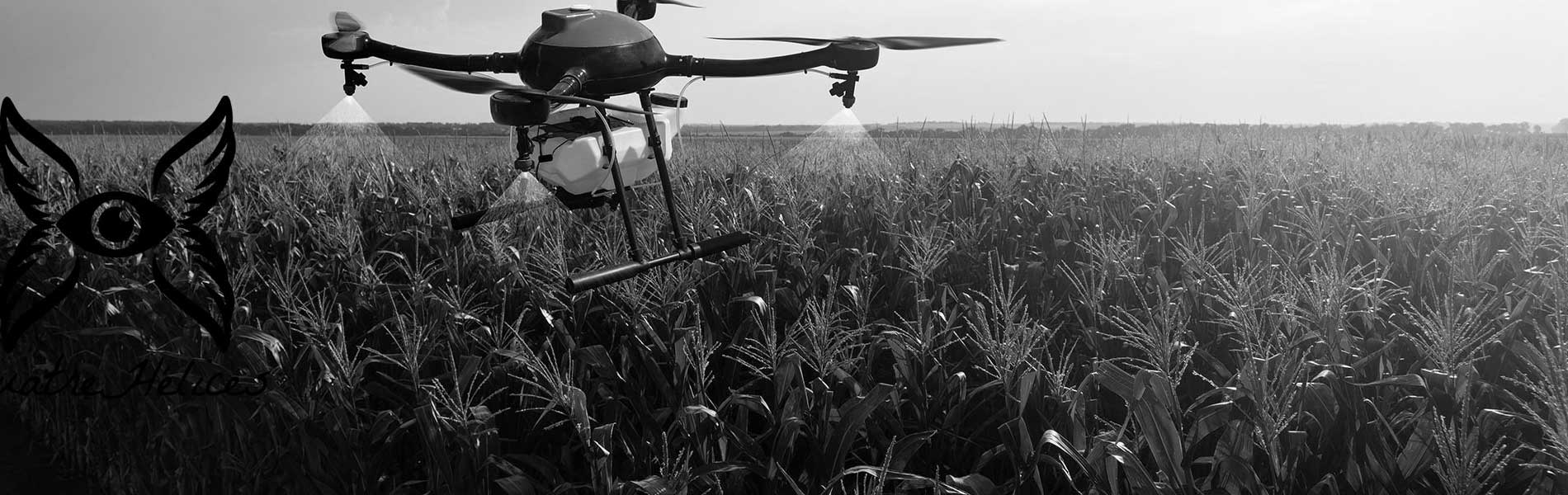 Photos aérienne drone