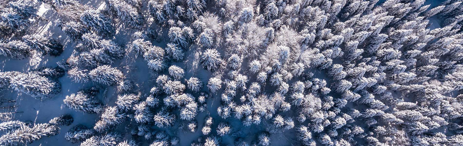 Photo vue du ciel