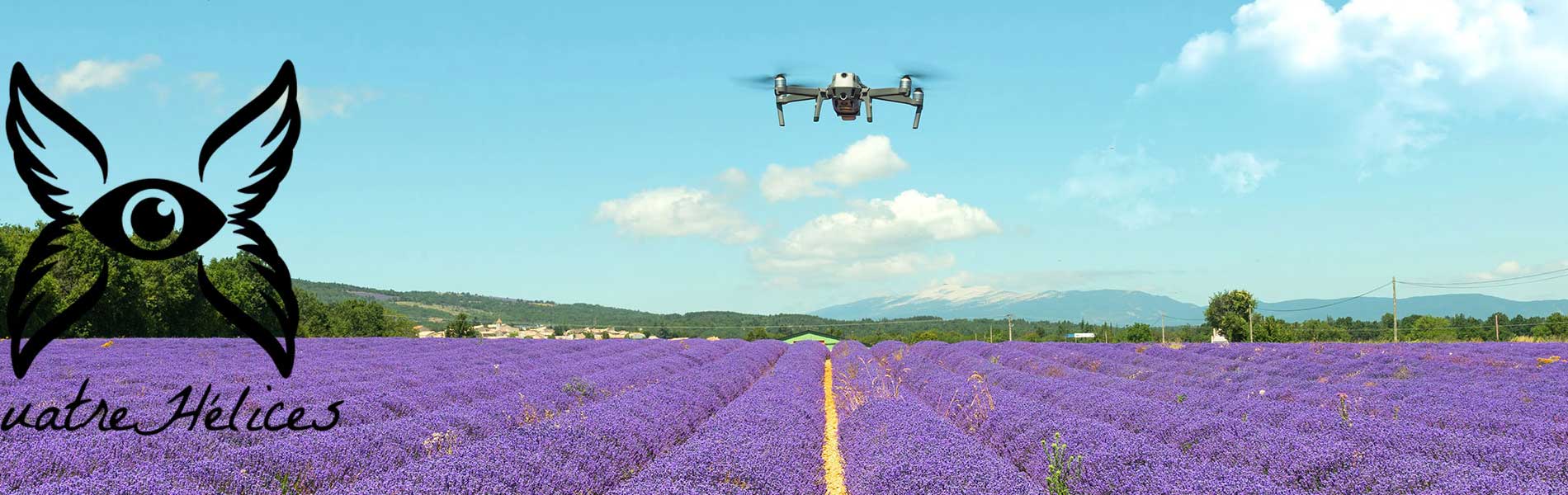Vue du ciel drone