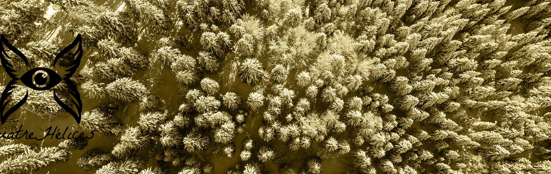Photos aérienne drone