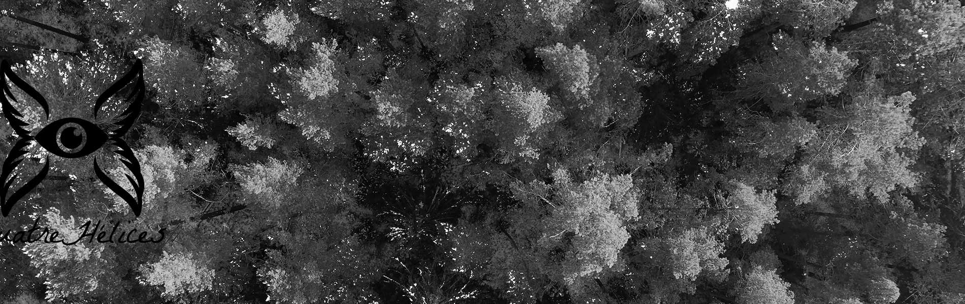 Photographie aerienne