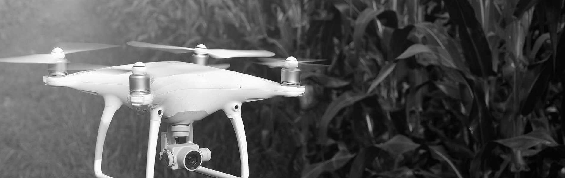 Prise de vue aerienne drone