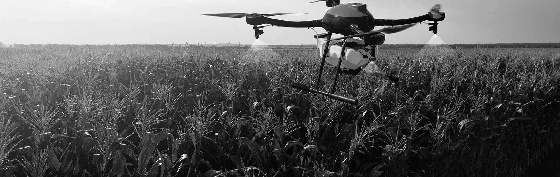 Photo aerienne drone
