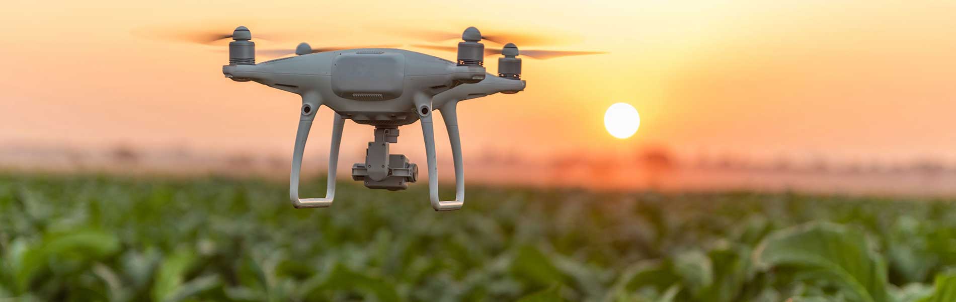 Vue du ciel drone