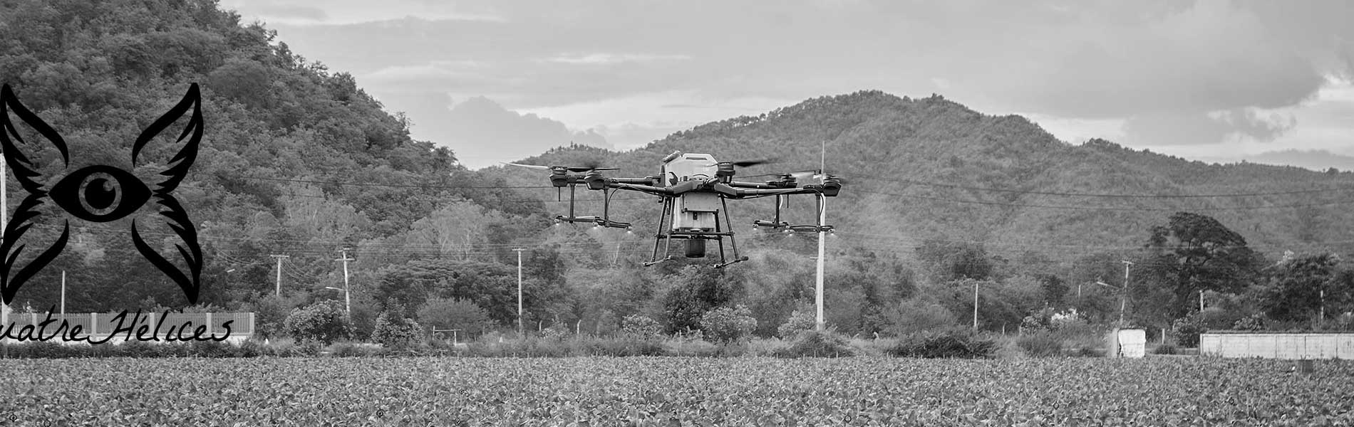 Photo aerienne drone